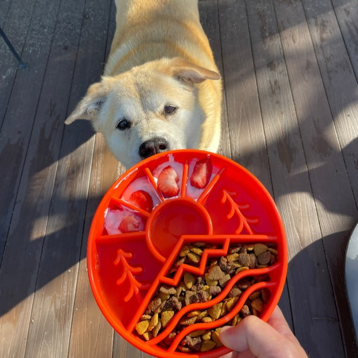 Slow Feeder Dog Bowl product image 13