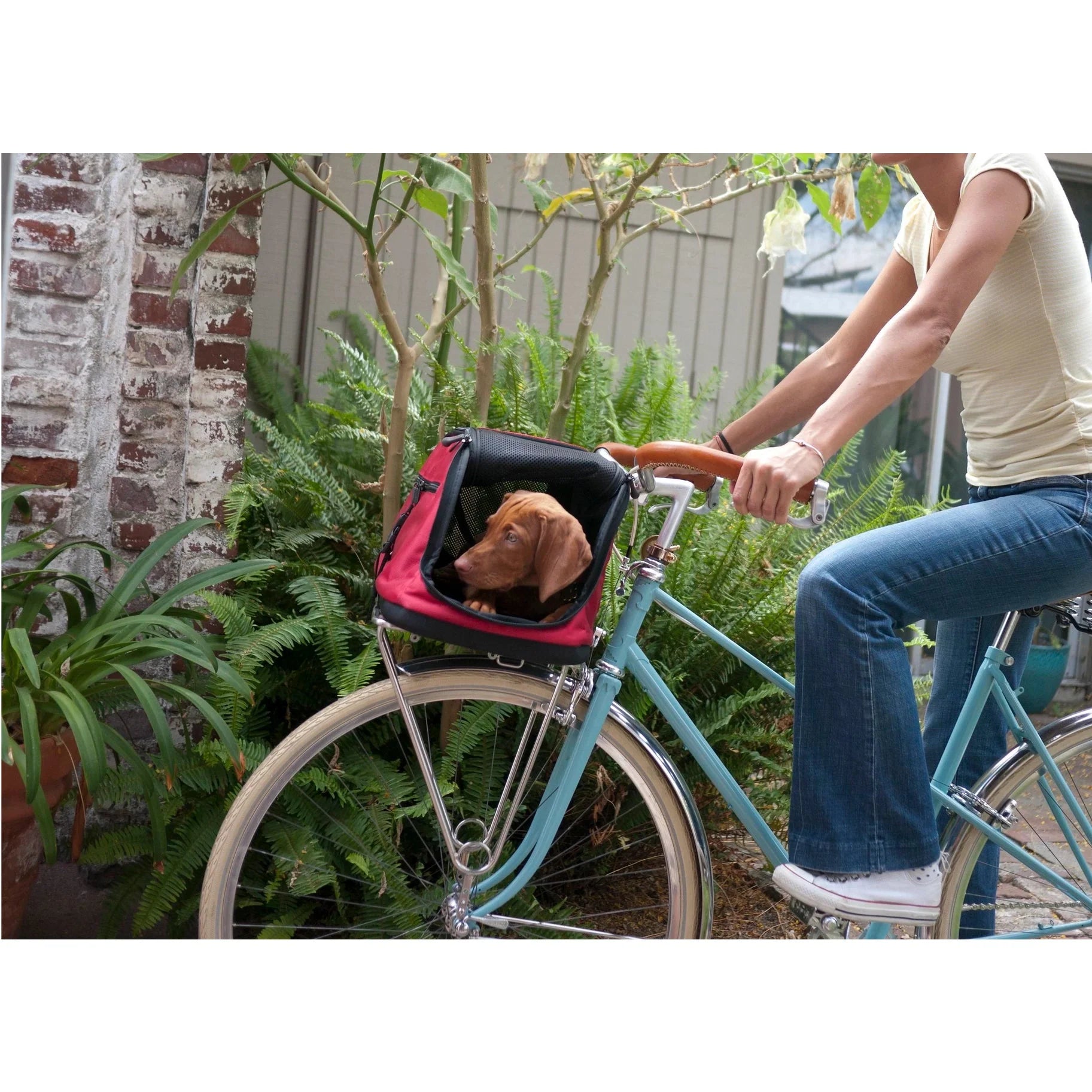 Pet Carriers product image 13