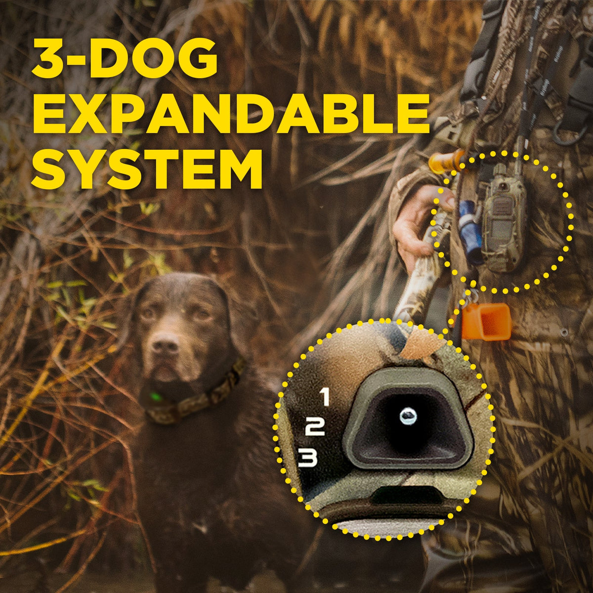 Dog Training Collar product image 13