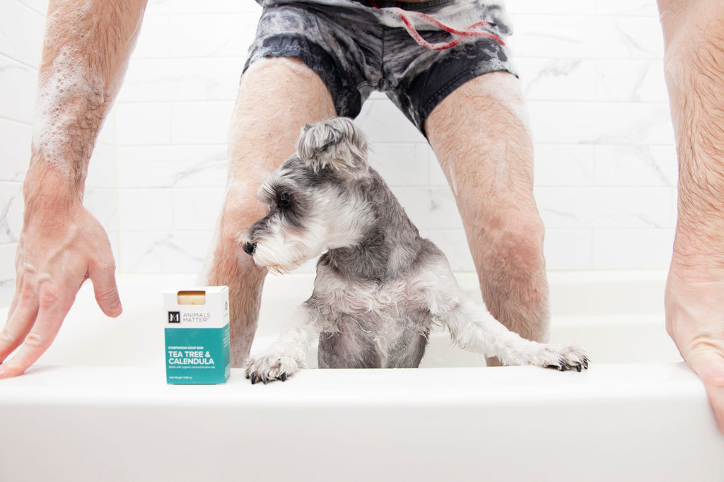 Dog Soap product image 13