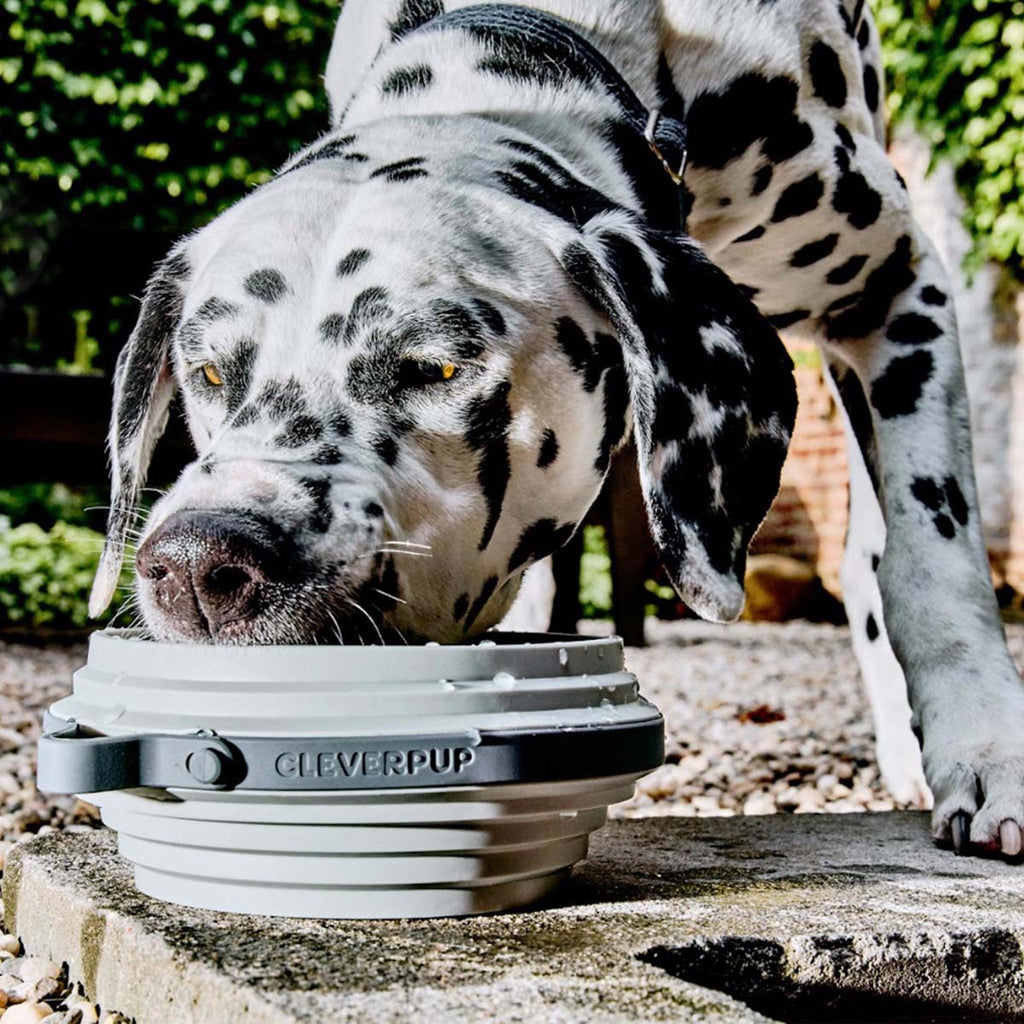 Travel Dog Bowl product image 13