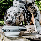 Travel Dog Bowl product image 13