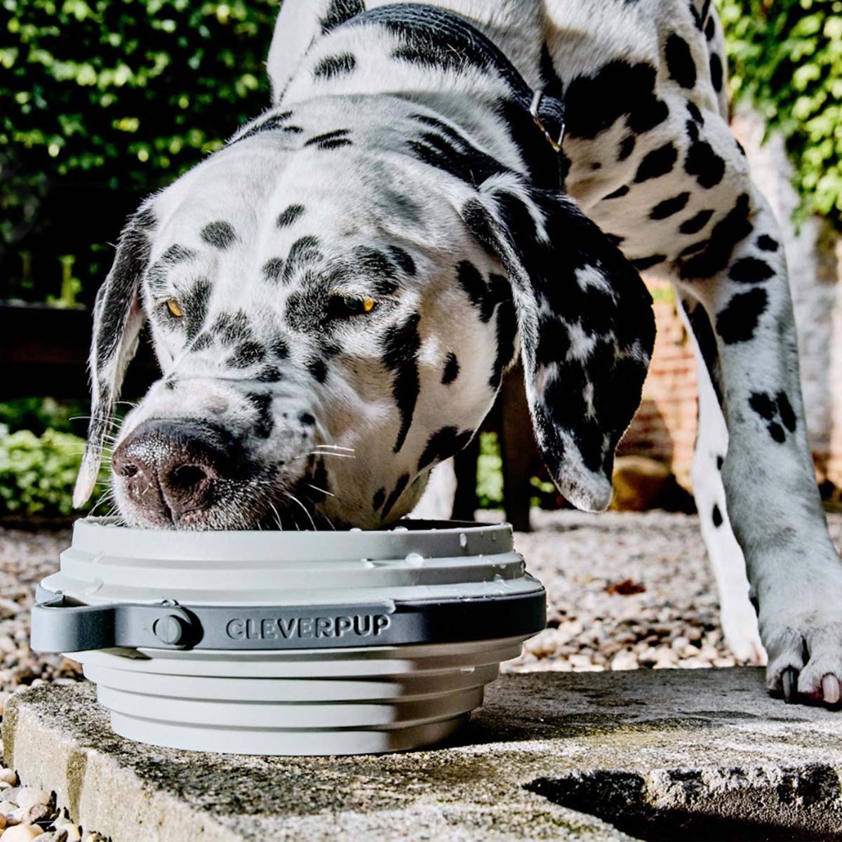 Travel Dog Bowl product image 13