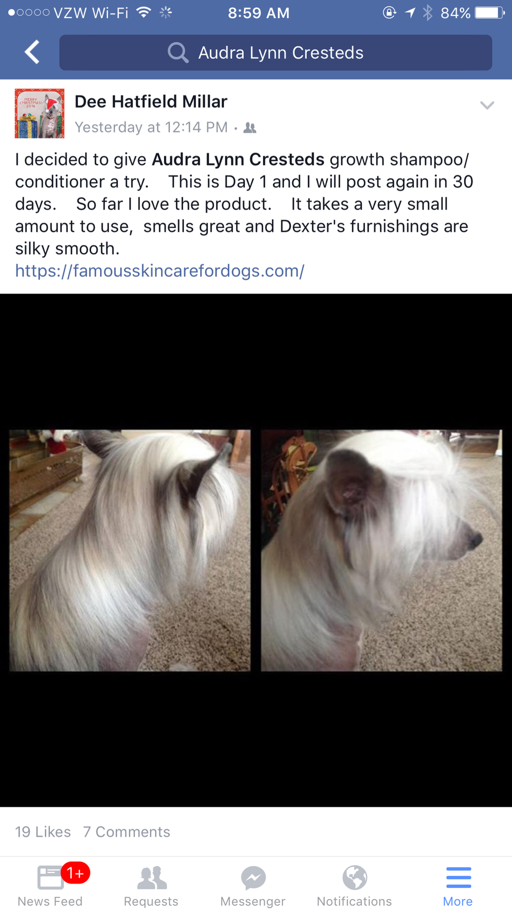 Dog Shampoo Conditioner Set product image 13