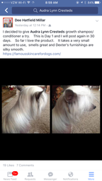 Dog Shampoo Conditioner Set product image 13