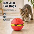 Transforming Pet Toy product image 13