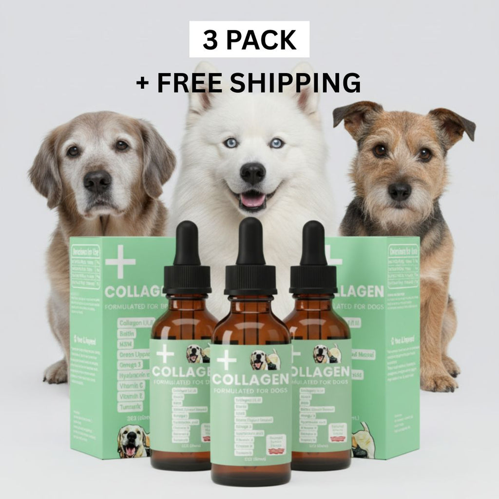 Liquid Collagen Supplement for Dogs product image 7