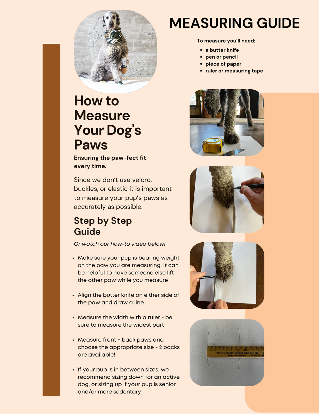 Water-Resistant Dog Booties, One Pair with Leather Soles and Neoprene Uppers for All-Weather Walks source image 14