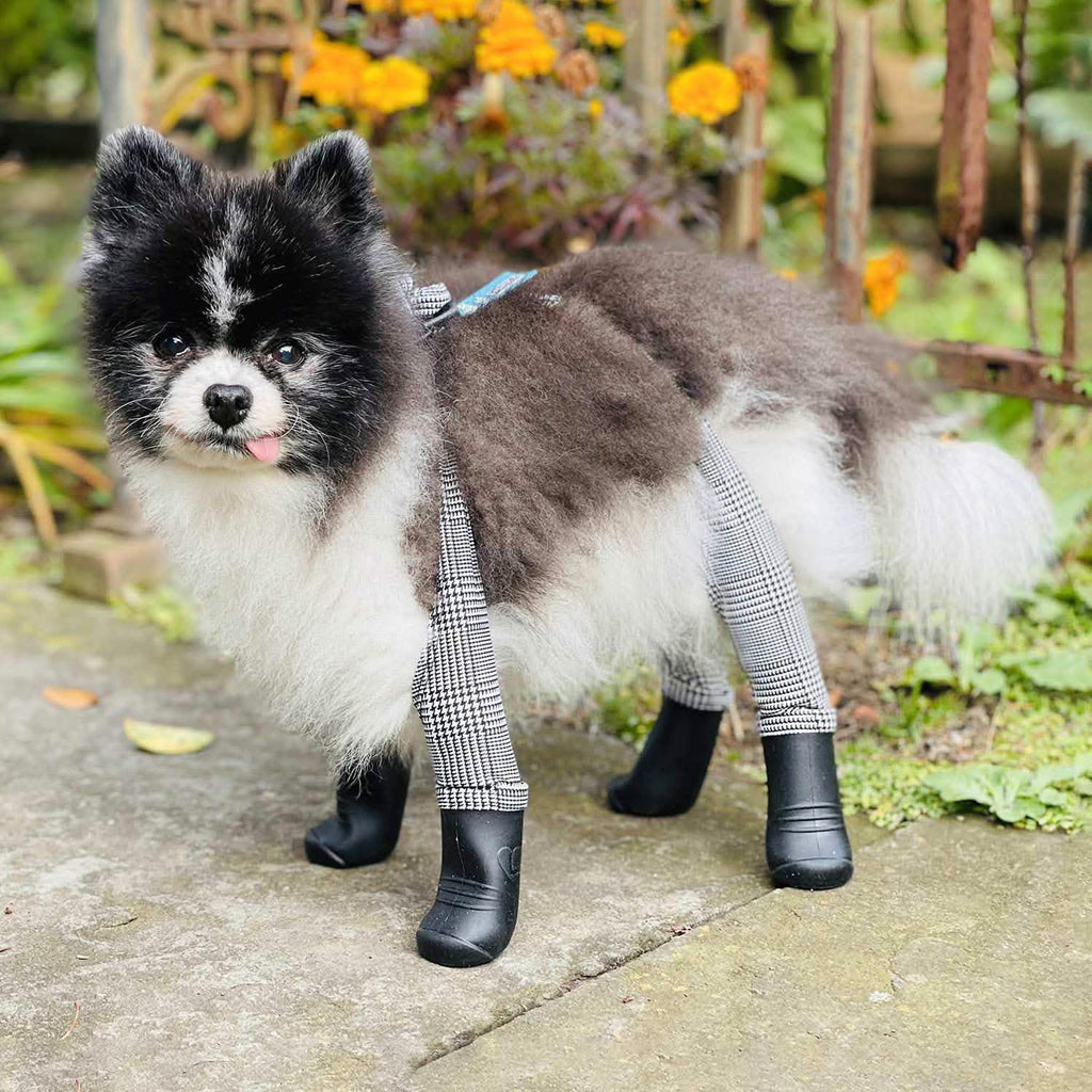 Waterproof Dog Boot Leggings for Winter Walks, Seam-Free TPE Paw Covers and Full-Leg Protection source image 14