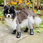Waterproof Dog Boot Leggings for Winter Walks, Seam-Free TPE Paw Covers and Full-Leg Protection source image 14