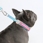 Cushioned Martingale Dog Collar for Gentle Leash Guidance, Limited-Cinch Design in Five Sizes source image 14