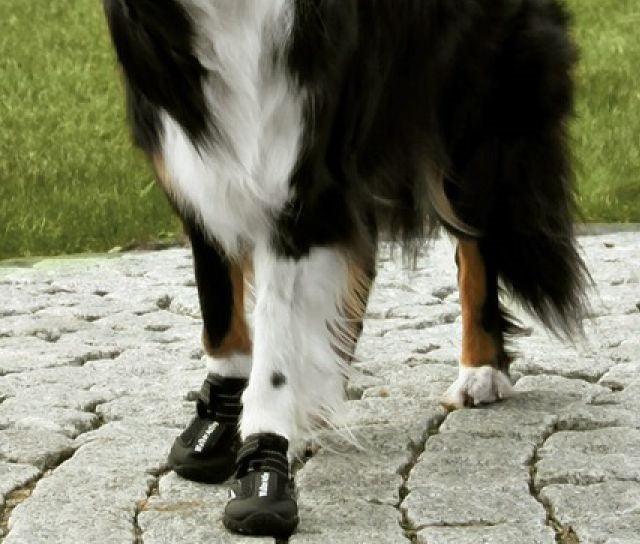 Non-Slip Dog Walking Boots, Two-Piece Paw Protection Pair with Reflective Strips and Secure Velcro Fit source image 14
