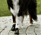 Non-Slip Dog Walking Boots, Two-Piece Paw Protection Pair with Reflective Strips and Secure Velcro Fit source image 14