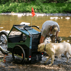 Convertible Dog Bike Trailer and Stroller for Medium or Large Dogs, Roll-Up Windows and 75- or 100-Lb Capacity source image 14