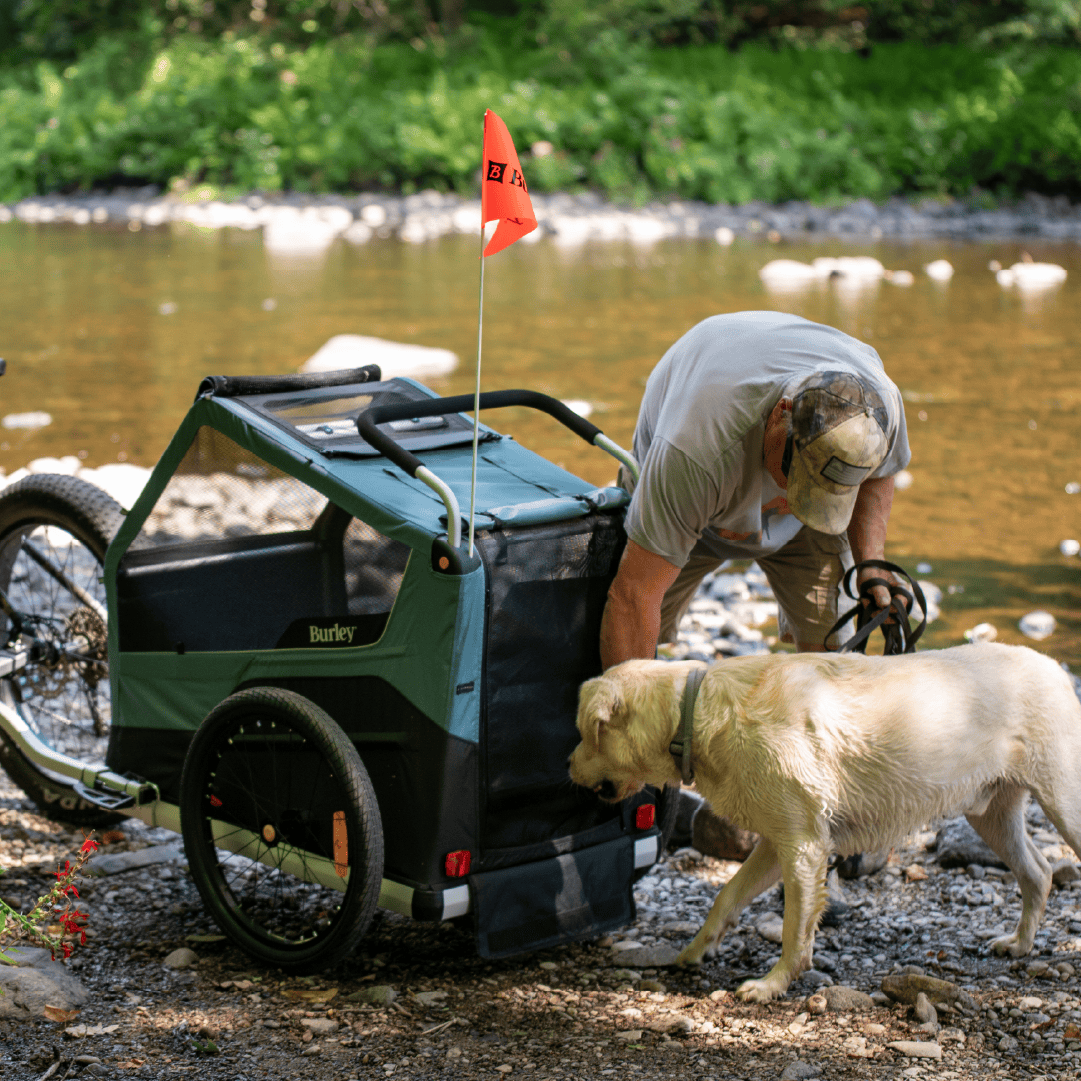 Convertible Dog Bike Trailer and Stroller for Medium or Large Dogs, Roll-Up Windows and 75- or 100-Lb Capacity source image 14