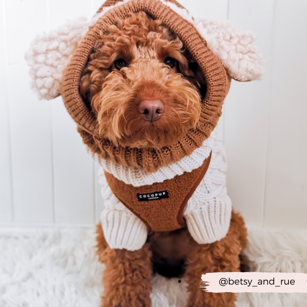 Adjustable Neck Dog Harness in Teddy Texture, Lightweight Walking Vest for XXS to Large Dogs source image 14