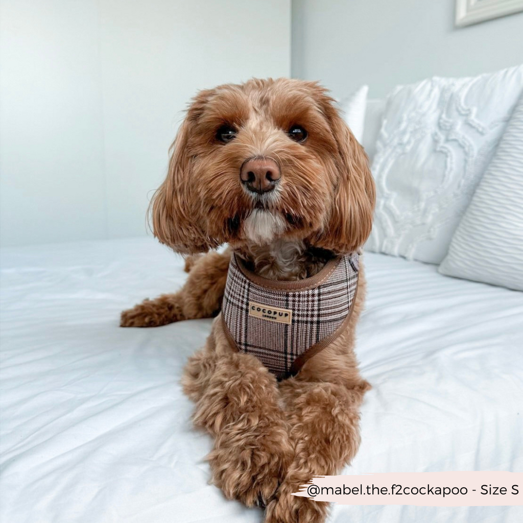 Adjustable Plaid Dog Harness for Comfortable Walks, Lightweight Polyester Design in Five Sizes source image 14