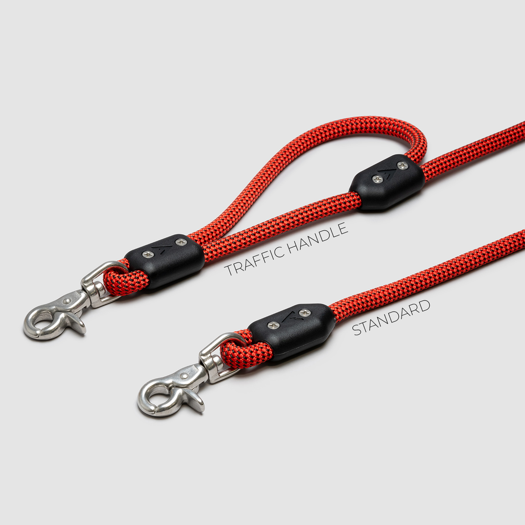 Climbing Rope Dog Leash with Stainless Steel Swivel Clip for Daily 5- or 8-Foot Walks and Trail Outings product image 14
