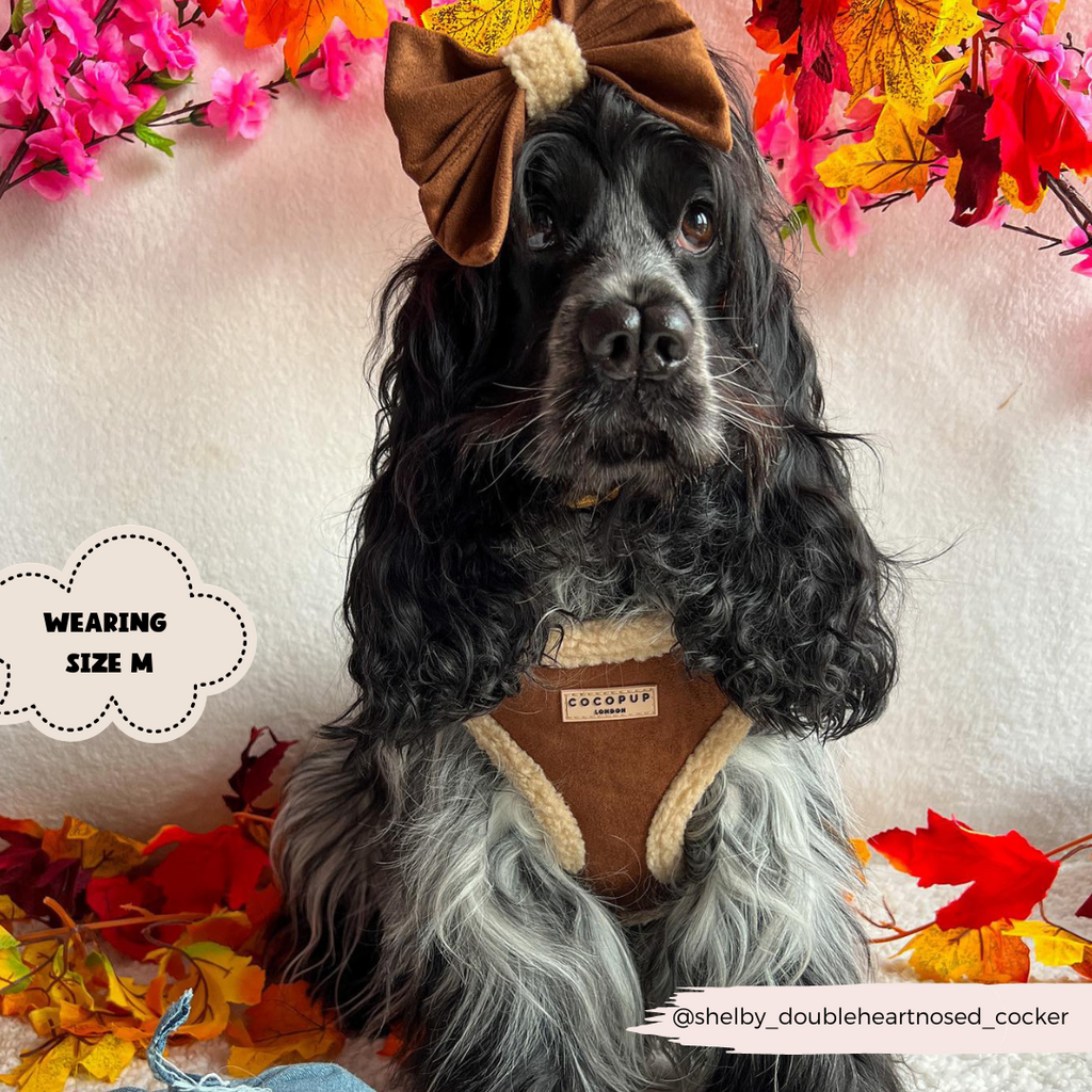 Adjustable Neck Dog Harness, Brown Faux Suede Walking Vest with Soft Fluffy Trim in XXS to Large Sizes source image 14