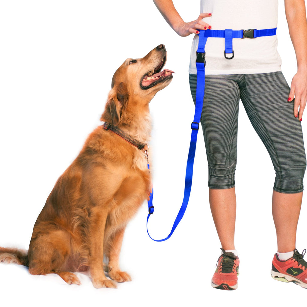Hands-Free Waist Dog Leash for Walking and Running, Adjustable Length and Quick-Release Hardware source image 14