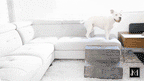 Foam Pet Stairs for Beds and Sofas, Supportive Micro Suede Steps in Three Heights and Four Colors source image 14