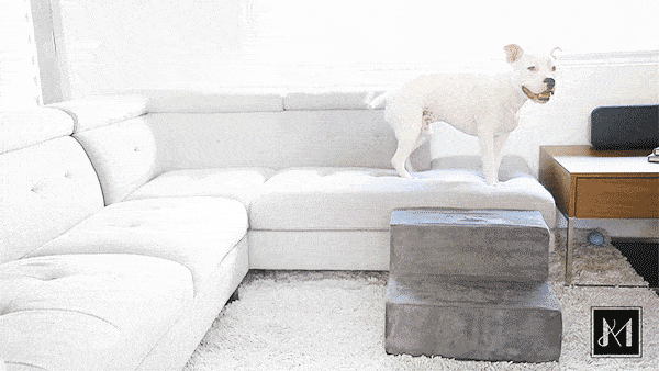 Foam Pet Stairs for Beds and Sofas, Supportive Micro Suede Steps in Three Heights and Four Colors source image 14