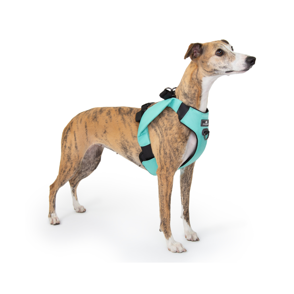 Crash-Tested Dog Car Safety Harness product image 14
