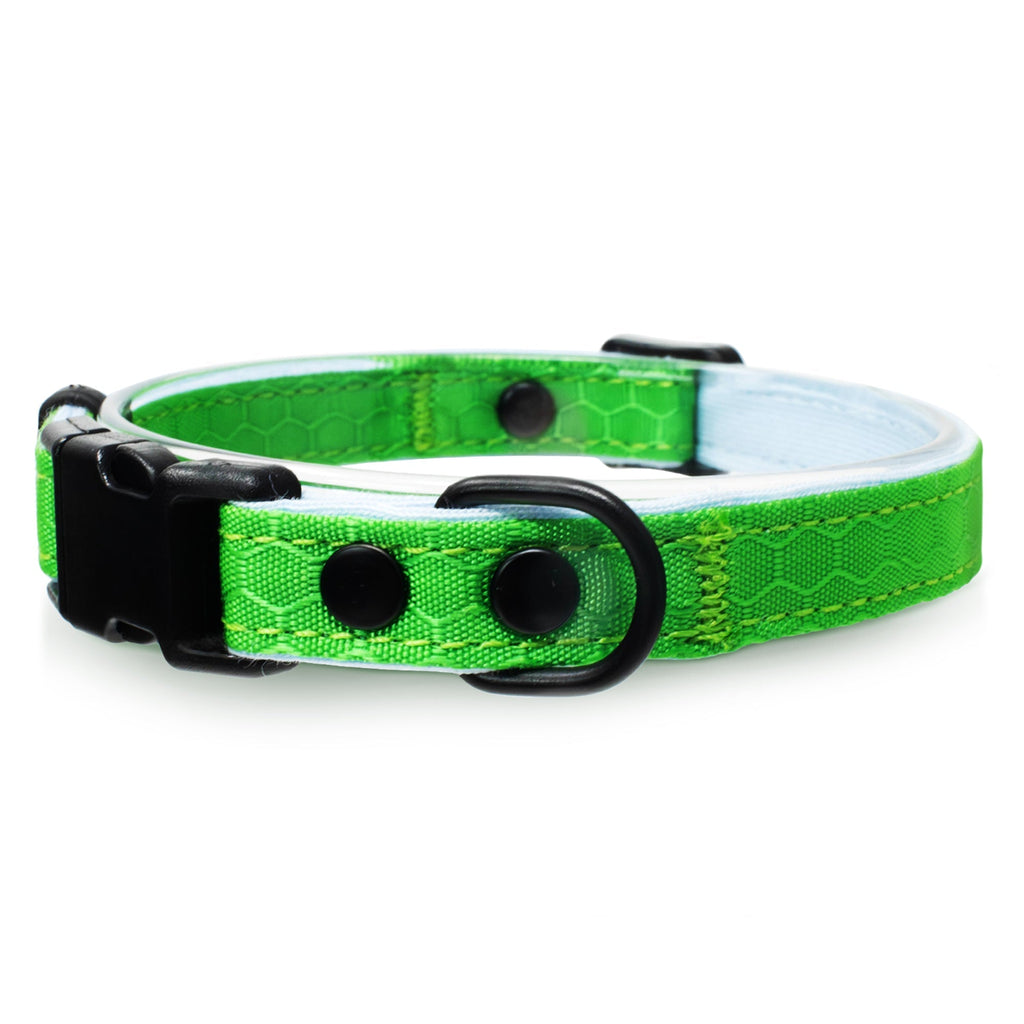 Breakaway Cat Collar product image 14