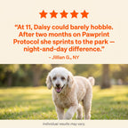 Liquid Dog Wellness Supplement product image 14
