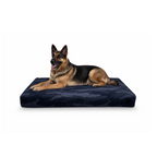 Orthopedic Dog Bed product image 14
