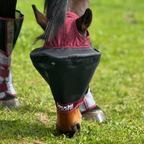 Horse Fly Mask product image 14