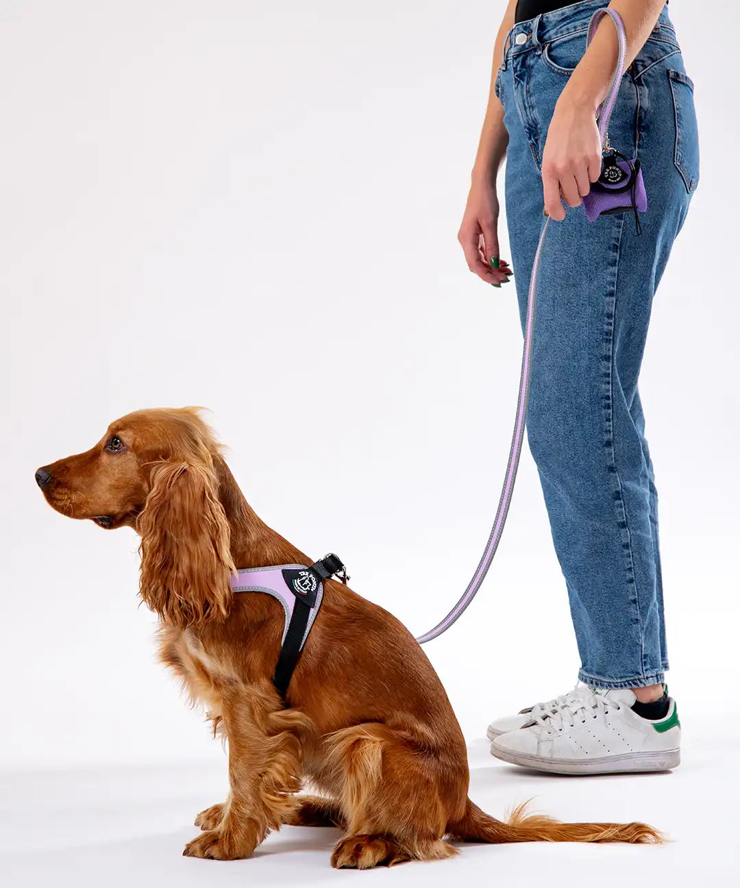 Pet Harness product image 14