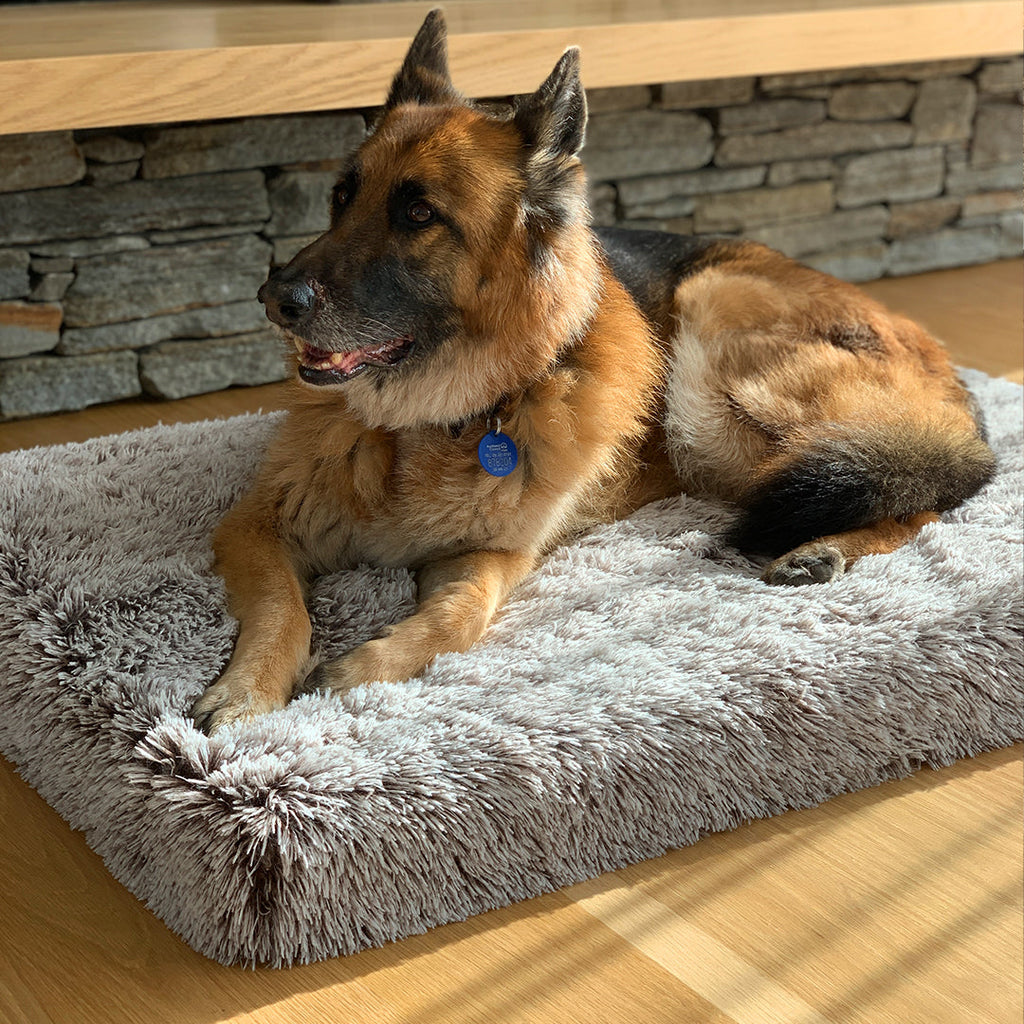 Memory Foam Dog Bed product image 14