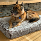 Memory Foam Dog Bed product image 14