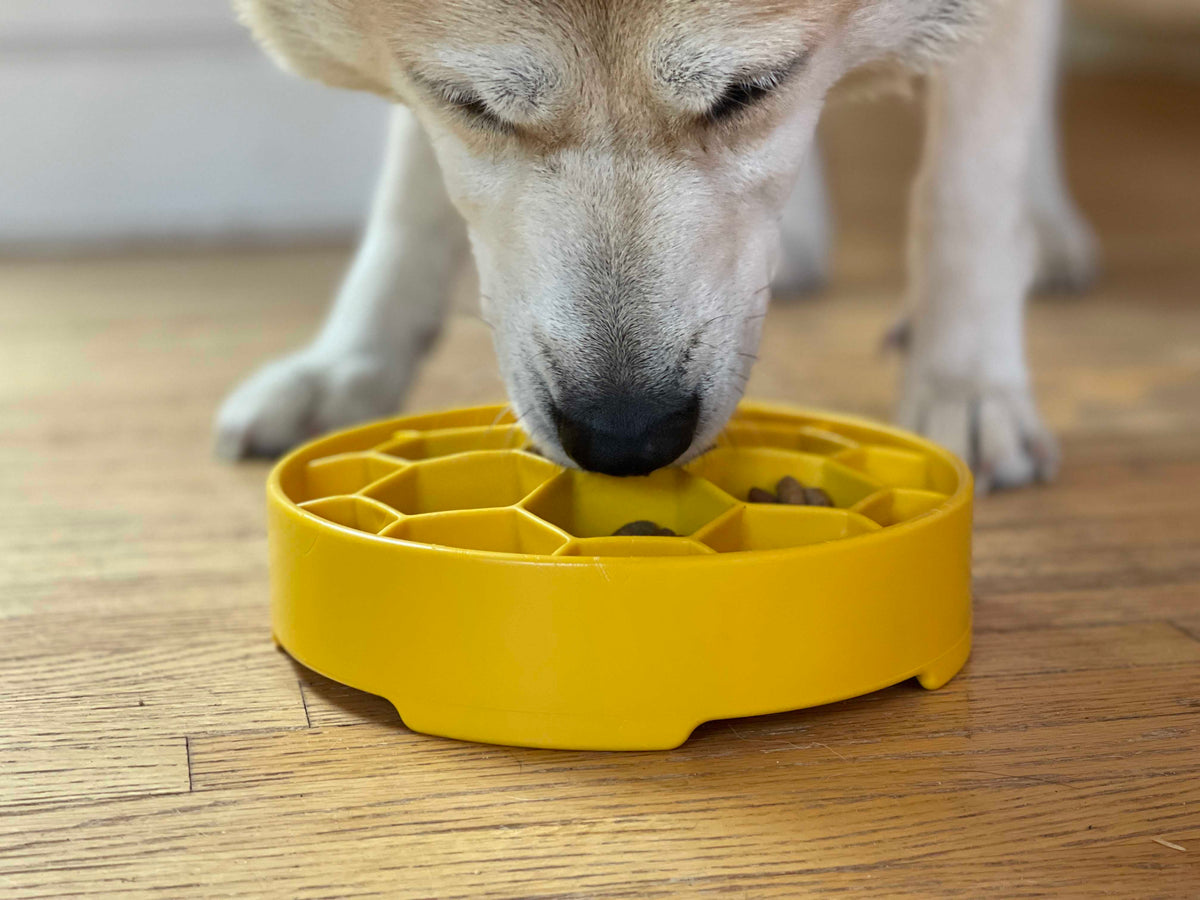 Slow Feeder Dog Bowl product image 14