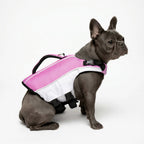 Dog Life Jacket product image 14