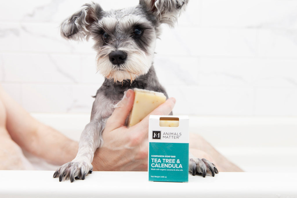 Dog Soap product image 14