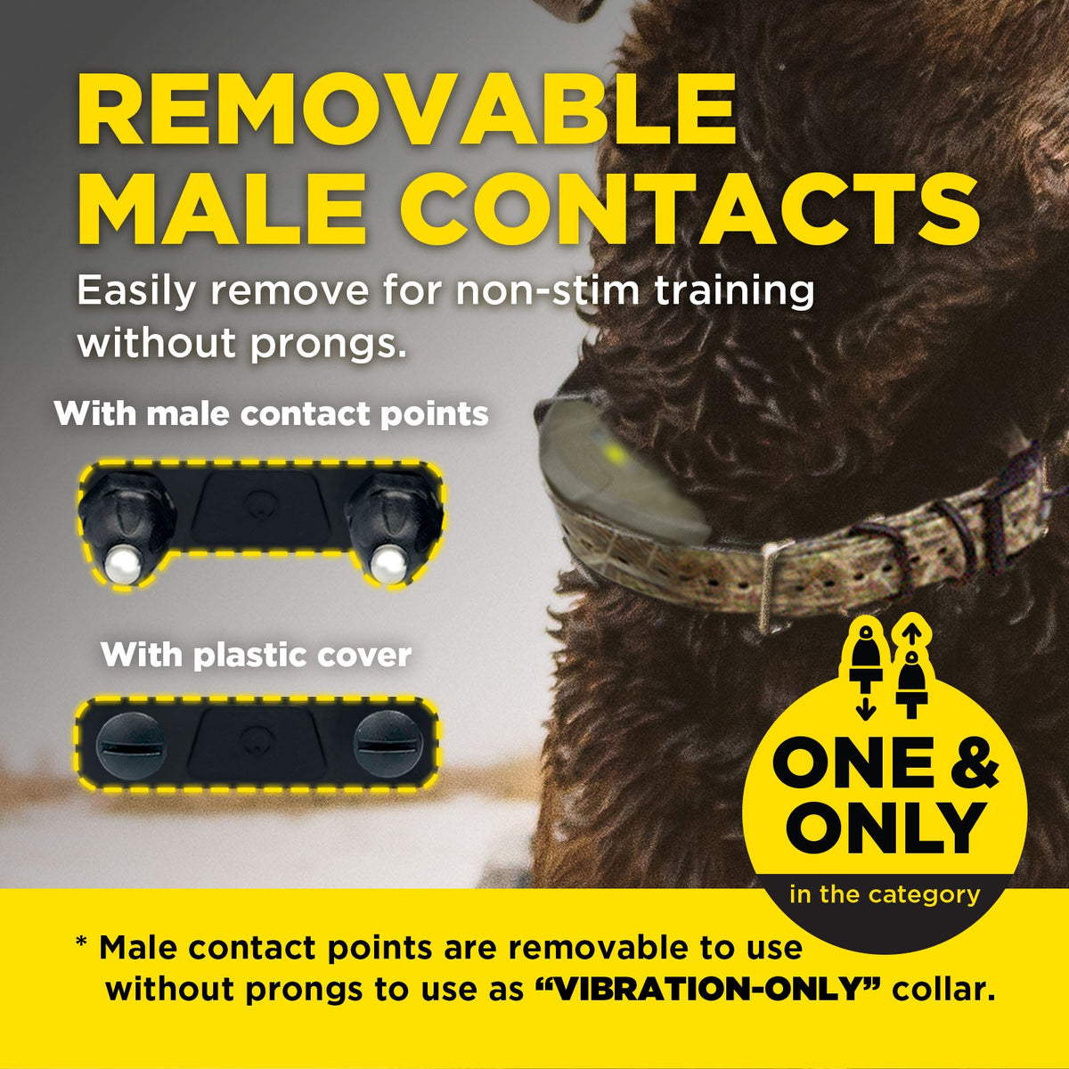 Dog Training Collar product image 14