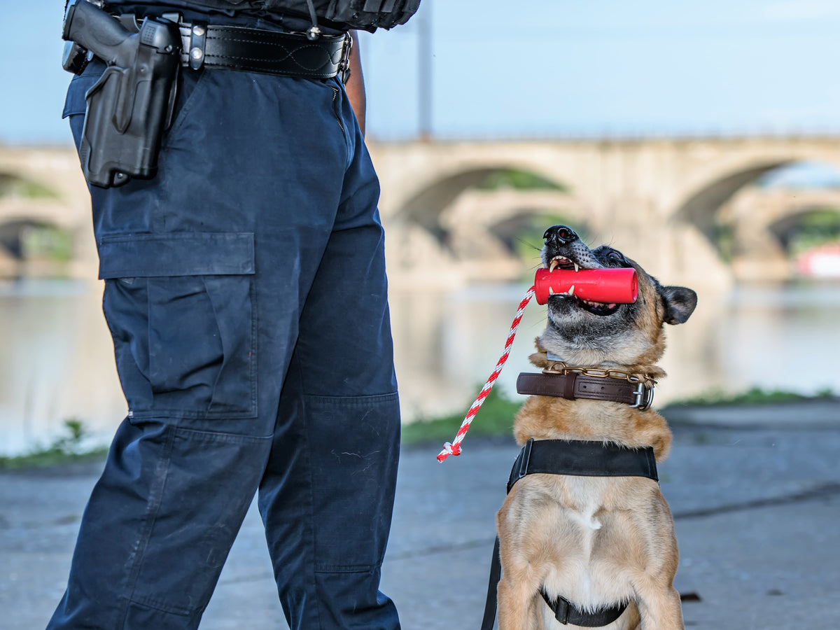 Dog Training Dummy product image 14