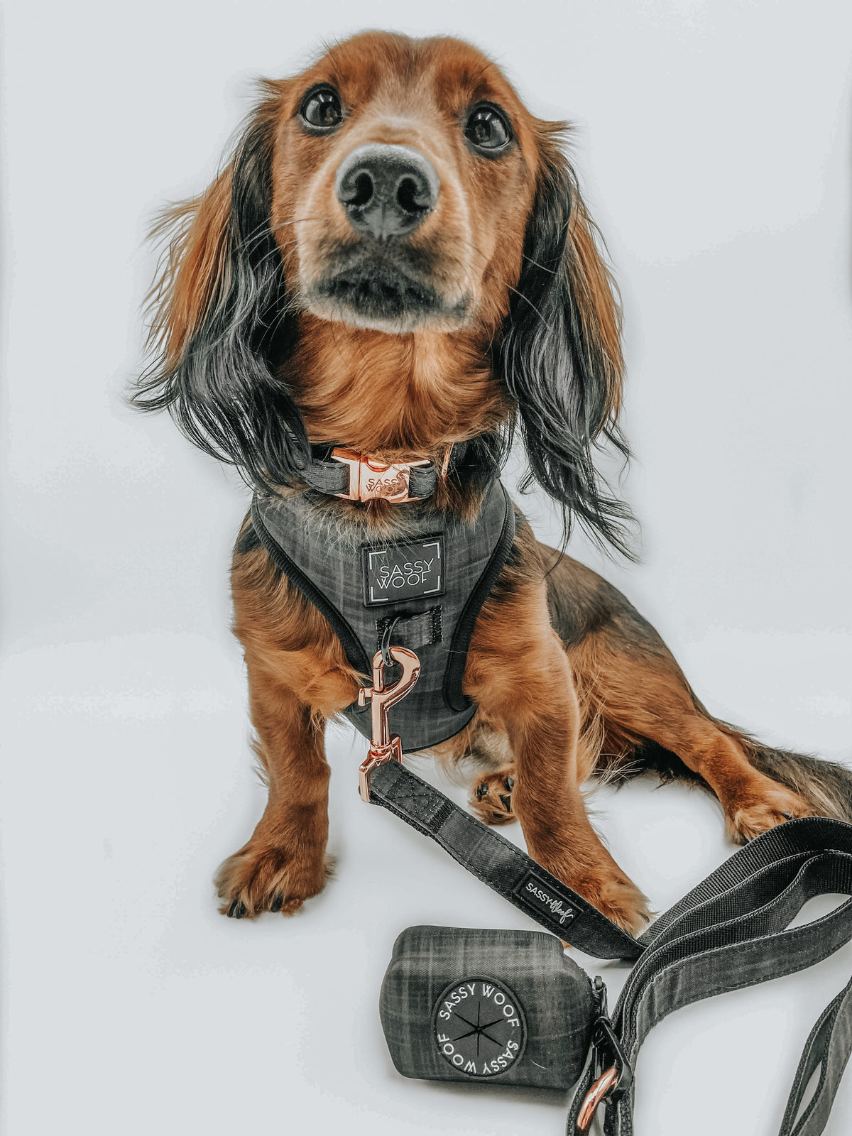 Adjustable Dog Harness product image 14