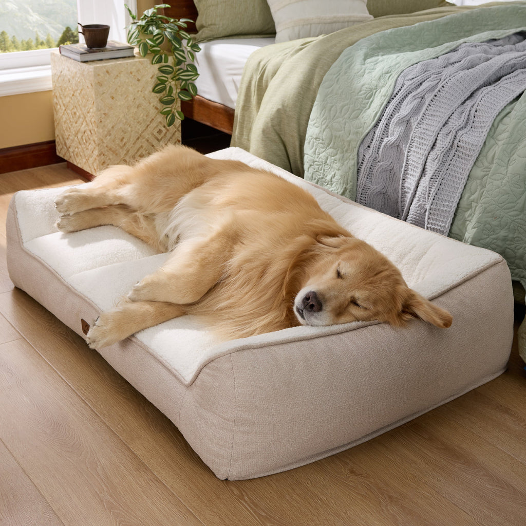 Dog Beds product image 14