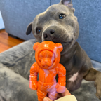 Dog Chew Toy Collection product image 14