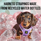 Step-In Dog Harness product image 14