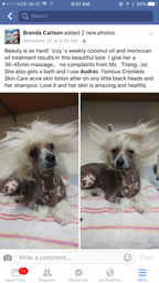 Dog Shampoo Conditioner Set product image 14