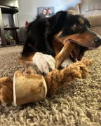 Dog Chew Toy product image 14