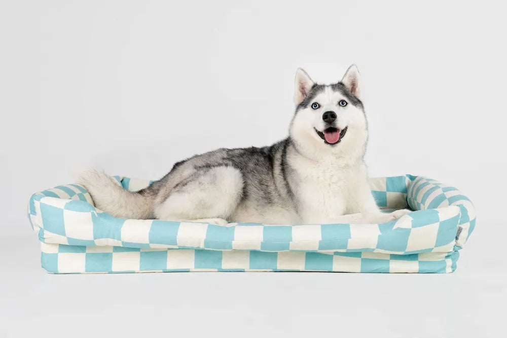 Orthopedic Dog Bed product image 14