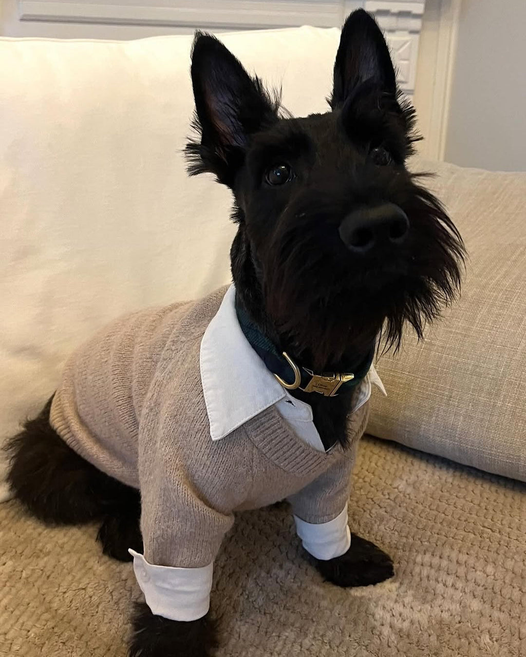 Dog Sweater product image 14