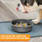 Slow Feeder Dog Bowl, Nine-Peak Non-Skid Two-Cup Design for Flat-Faced and Fast-Eating Dogs source image 15