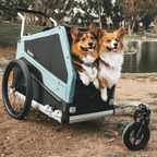 Convertible Dog Bike Trailer and Stroller for Medium or Large Dogs, Roll-Up Windows and 75- or 100-Lb Capacity source image 15