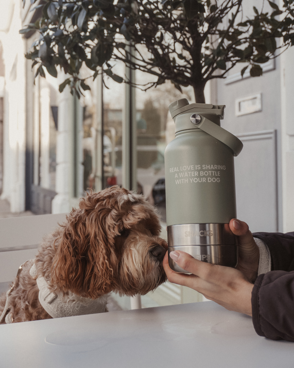 3-in-1 Dog Travel Water Bottle with 32 oz Reservoir and Two Detachable Bowls in Three Colors source image 15